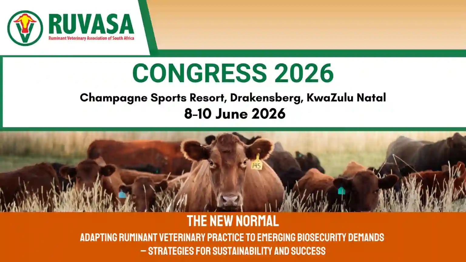 RuVASA Congress 2026